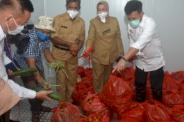 Kunjungi TTIC Makassar, Mentan SYL Ajak Masyarakat Patuhi Protokol Kesehatan