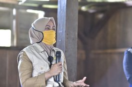 IDP Minta Refocusing Kegiatan dan Realokasi APBDes Dipercepat untuk Hambat Covid-19