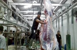 300 Pekerja di Rumah Potong Hewan Positif Covid-19, 200 Orang Berasal dari Rumania