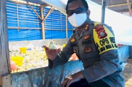 Suplai Dapur Umum, Polres Gowa Pinjam Kandang dan Keramba untuk Beternak Ayam dan Lele