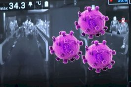 Ilmuwan: Pandemi Virus Corona Kemungkinan Berlangsung Dua Tahun