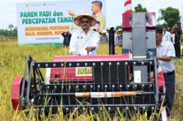 BPS: Data Tunggal Produksi Pangan Nasional Telah Resmi Digunakan