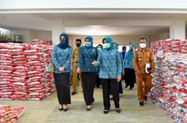 TP PKK Sulsel Serahkan Paket Sembako untuk Maros, Gowa, dan Sidrap