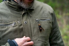 Matanya Seperti Spider-Man, Tawon Pembunuh 50 Orang di Jepang Teror AS