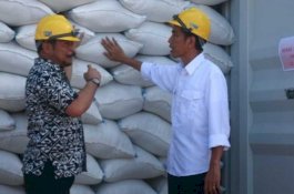 Masa Pandemi, Presiden Jokowi Tegaskan Produksi Pangan Nasional Surplus