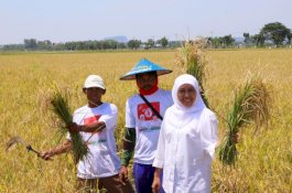 Khofifah: Sampai Agustus, Jawa Timur Surplus Beras 1,5 Juta Ton