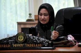 Imbau Masyarakat Tidak Mudik, Bupati Luwu Utara: Saya Dibully Habis-habisan