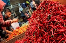 Antisipasi Jatuhnya Harga Cabai, Kementan Siapkan Sejumlah Jurus