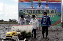 SYL Tanam Padi, Kalteng Dukung Intensifikasi dan Ekstensifikasi Lahan Rawa untuk Pangan Nasional