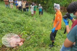 Motifnya Asmara, Pria Nepo Barru yang Tergeletak di Kebun Kacang Ternyata Ditusuk Sepupunya