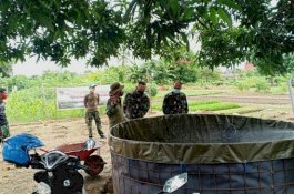 Perkebunan Covid-19 Lantamal VI, Sudah Bisa Dipanen