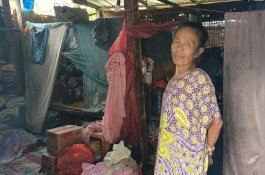 Kisah Janda di Jeneponto yang Hidup Sebatangkara di Gubuk Reyot