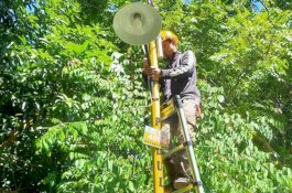 Antisipasi Kerusakan Jaringan, PJU Parepare Aktif Bersihkan Dahan Pohon Dekat Tiang Lampu