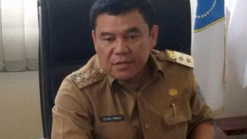 Bupati Ogan Ilir, Ilyas Panji Alam