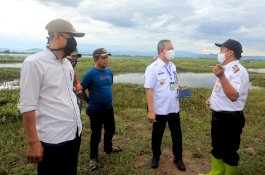 Optimis Produksi Pangan Makassar Bisa Meningkat, Yusran Tinjau Lahan Persawahan di Manggala