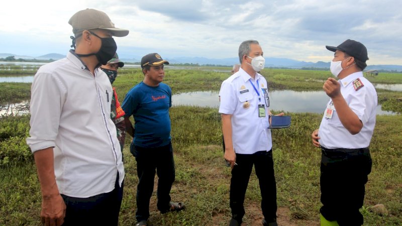 foto: Penjabat Wali kota Makassar Prof Yusran Yusuf bersama Kepala Dinas Pertanian dan Perikanan Kota Makassar Abd Rahman Bando di dampingi Camat Manggala Anshar Umar mengunjungi persawahan yang letaknya berada di Kelurahan Tamangapa Kecamatan Manggala, Rabu (27/5/2020).

