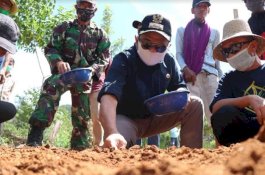 Barru Genjot Produksi Bawang Merah, Target 26,5 Hektare Musim Tanam 2020