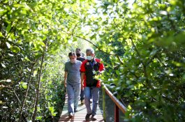 Prof Yusran Jusuf Dukung Pengembangan Objek Wisata  Mangrove Lantebung