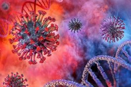 6 Juta Lebih Penduduk Dunia Terinfeksi Covid-19