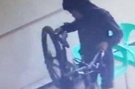 Pantau dari CCTV Sambil Main Domino, Pemilik Rumah Sengaja Biarkan Maling Beraksi