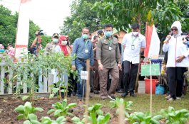 Mentan Tinjau Progam P2L di Gowa: Galakkan Family Farming