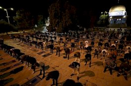 Salat Subuh Pertama di Masjidilaqsa, Jemaah Kenakan Masker dan Jaga Jarak