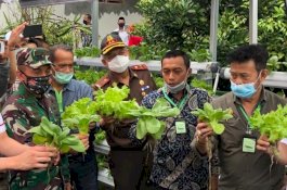 Wabah Virus Corona Lemahkan Ekonomi, Mentan SYL: Obatnya, Tanami Pekarangan!