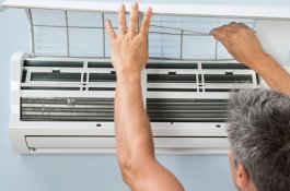 AC Lama Tak Dibersihkan, Warga Temukan 40 Bayi Ular dalam Kamar