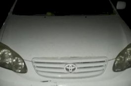 Sadis, Pria Ini Bunuh Anjing dengan Cara Mengikatkan di Mobil dan Menyeretnya di Jalanan