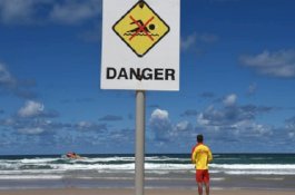 Asyik Berselancar, Kakek 60 Tahun Tewas Diserang Hiu Putih