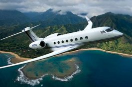 Mau Terbang Bersama Anjingnya, Wanita India Ini Sewa Jet Pribadi Ratusan Juta