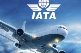 Kerugian Maskapai Penerbangan Diprediksi Berlanjut hingga Tahun Depan