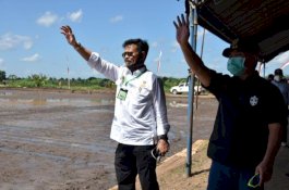 Banyak yang Beralih Fungsi, Kementan Tingkatkan Produksi Pangan Lewat Optimasi Lahan