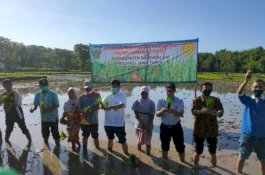 Antisipasi Musim Kemarau, Tim Kementan Turun ke Bangkalan Pacu Percepat Tanam
