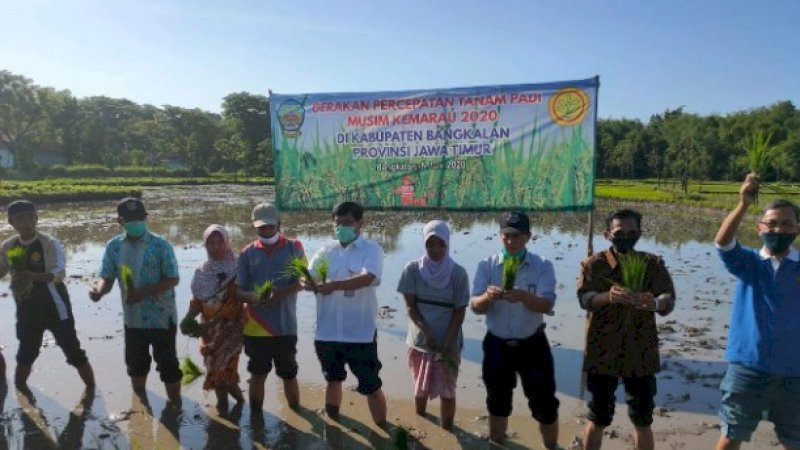 Direktur Perbenihan Tanaman Pangan Kementan, Takdir Mulyadi