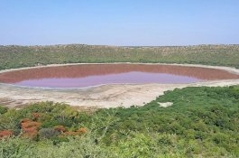 Air Danau di India Mendadak Berubah Warna Jadi Merah Muda, Ini Kata Para Ahli