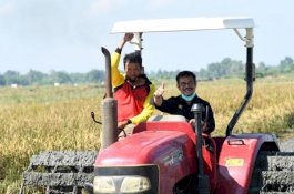 Berkunjung ke Cilacap, Mentan SYL Panen Sekaligus Tanaman Padi