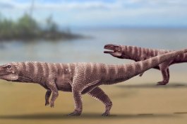 Jejak Buaya Purba Berjalan dengan Dua Kaki Ditemukan di Korea Selatan