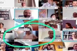 Senator Wanita Ini Lepas Baju Saat Rapat Virtual, Tak Sadar Kamera Masih Nyala