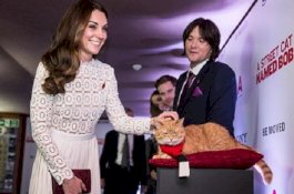 Bob, Si Kucing Penyelamat Pecandu Narkoba Itu Sudah Tiada