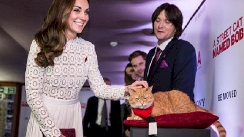 Duchess of Cambridge, Kate Middleton, saat menghadiri premiere film A Street Cat Named Bob di Inggris, pada Desember 2016. (Sumber Foto: Daily Mail)