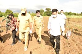Kokohkan Pangan, Gubernur Sulut Pacu Percepatan Tanam Padi