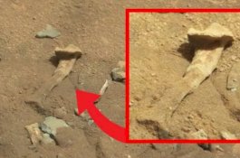 Heboh Foto Mirip Tulang Manusia, Betul Ada Kehidupan di Planet Mars?