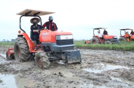 Di Lampung Tengah, Mentan SYL Lakukan Gerakan Percepatan Tanam Dongkrak Stok Beras