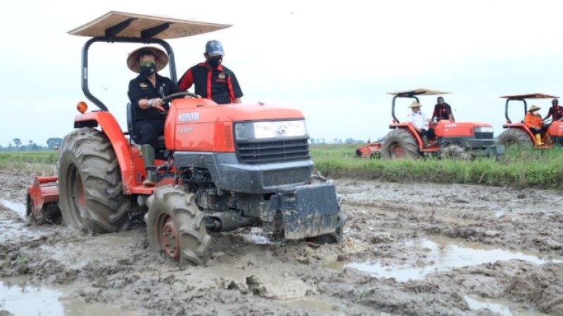 Menteri Pertanian, Syahrul Yasin Limpo di Lampung.