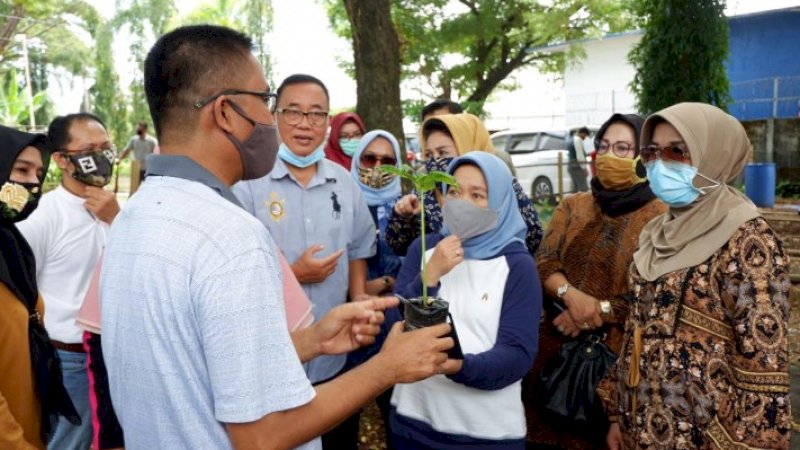 Usai mengunjungi pabrik pengolahan talas satoimo PT Tridanawa Perkasa Indonesia (TPI) Makassar, Ketua Tim Penggerak PKK Sulsel, Lies F Nurdin, langsung meninjau pusat pengembangan tanaman porang di Baddoka.&nbsp;