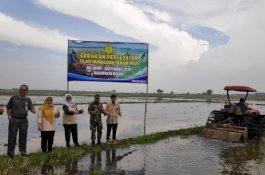 Kementan Pantau Gerakan Percepatan Tanam Padi di Bekasi