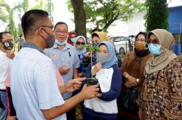 PKK Sulsel Ajak Warga Tanam Talas Satoimo di Pekarangan