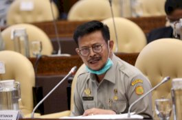 Anggaran Dipangkas, Kementan Konsisten Jaga Ketahanan Pangan