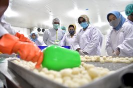 Bernilai Ekonomi Tinggi, Lies F Nurdin Perkenalkan Tanaman Porang ke Masyarakat